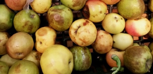 Как убрать неприятный запах из холодильника Как убрать неприятный запах из холодильника