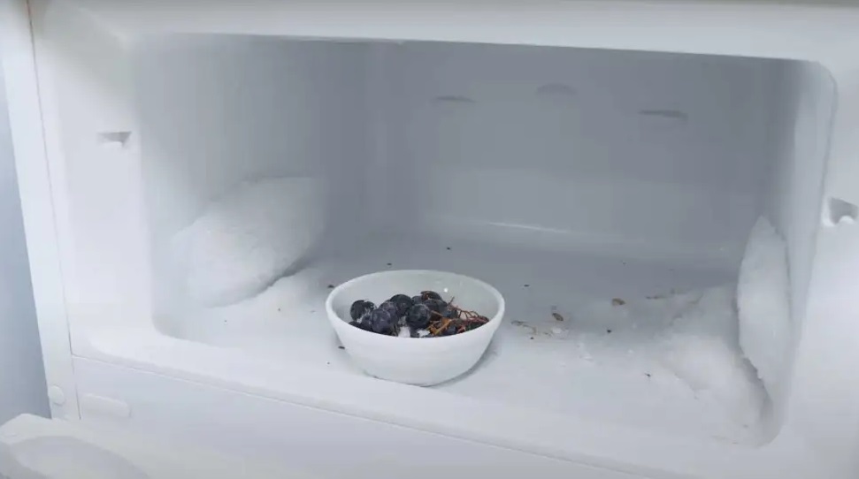 Как выбрать хороший холодильник Как выбрать хороший холодильник