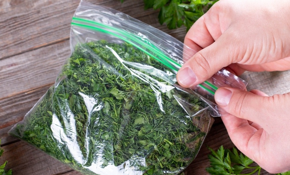 Как хранить зелень Как хранить зелень