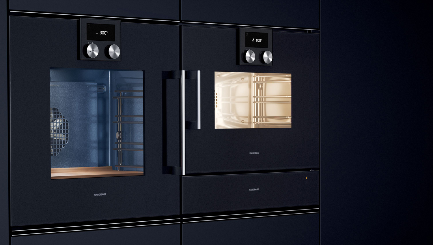 Gaggenau BMP 250-100