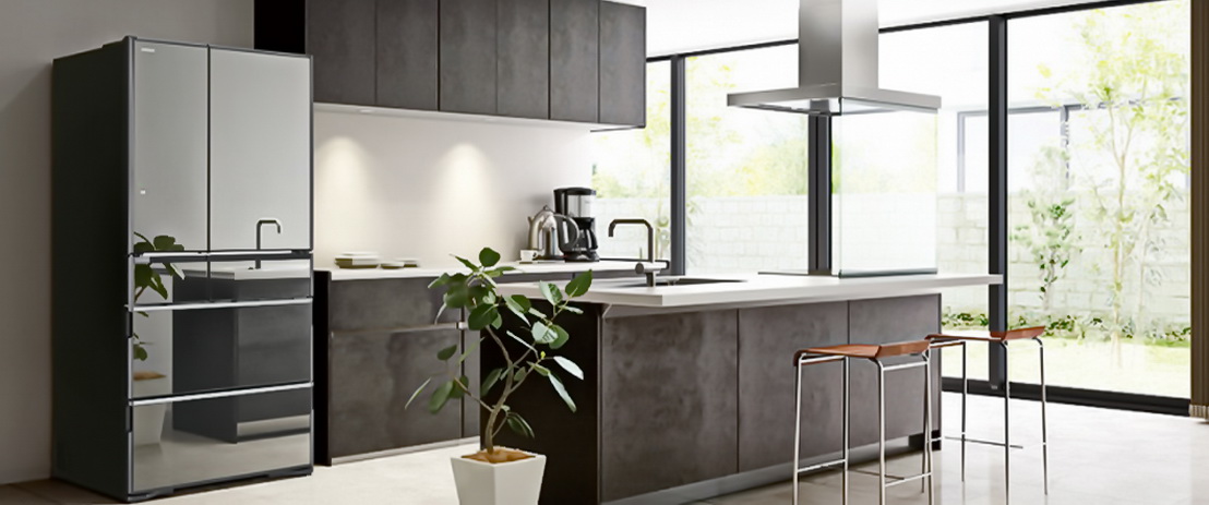 Hitachi R-SF 48 GU SN