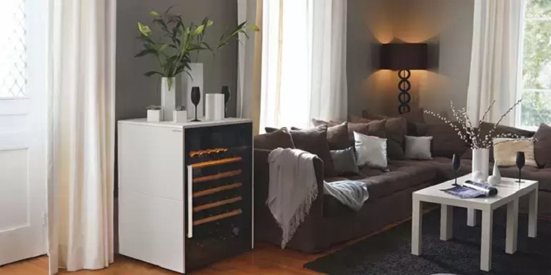 Какой винный шкаф лучше купить 