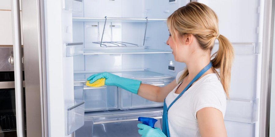 Как разморозить холодильник Bosch 