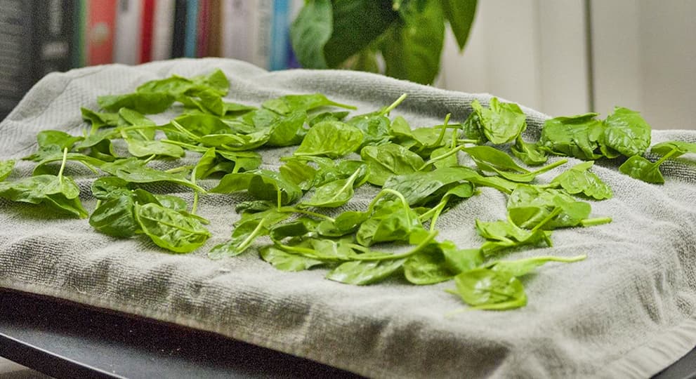 Как хранить зелень