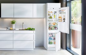 Новинки холодильников 2021 года