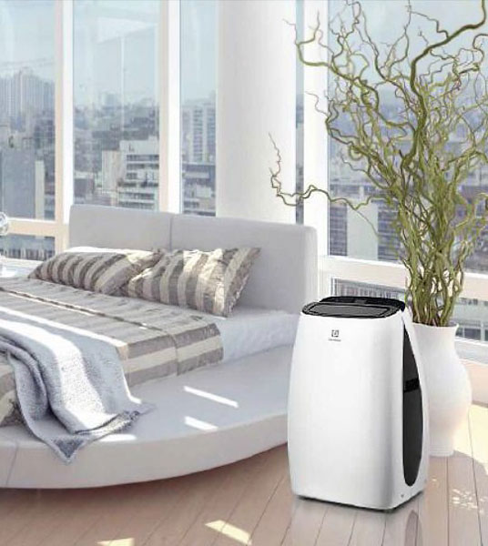 Мобильный кондиционер Electrolux EACM-10 HR/N3 (preview 2)