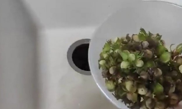 Измельчитель пищевых отходов InSinkErator ISE E75-2 (video 3)
