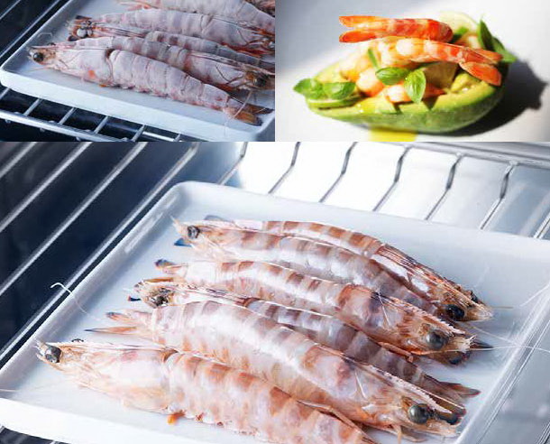 Встраиваемый шкаф шоковой заморозки Irinox Freddy 60 HF602350003 (текстурированная латунь/черный) (preview 11)