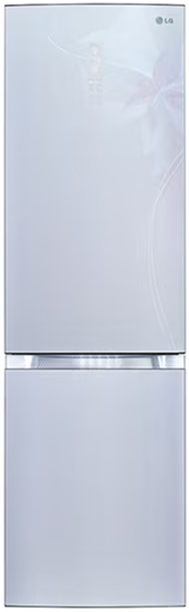 Холодильник LG GA-B 489 TGDF (preview 1)