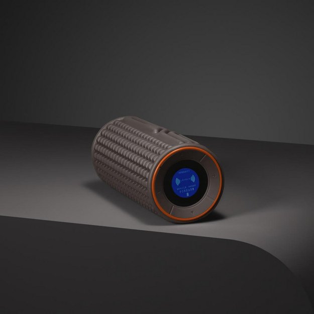 Массажный фитнес-ролик BORK D505  (preview 10)