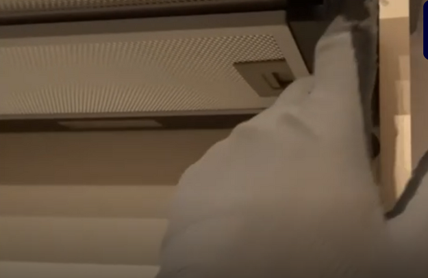 Вытяжка Korting KHT 6633 RB (video 2)