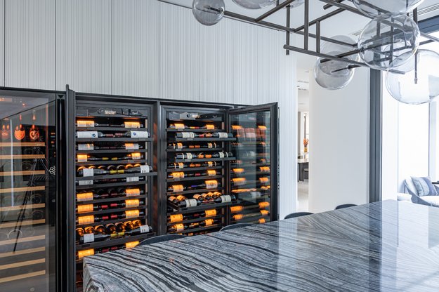 Монотемпературный винный шкаф EuroCave V-ROYALE-L V-10002-L (preview 9)