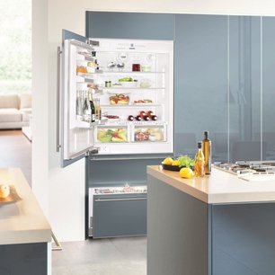 Встраиваемый холодильник Либхер ECBN 6156 Premium Plus NoFrost фото 3 в Екатеринбурге Встраиваемый холодильник Liebherr ECBN 6156 Premium Plus NoFrost фото 3 в Екатеринбурге