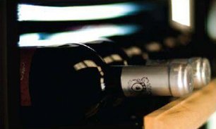 Винный шкаф IP CEX 2501 CU фото 2 в Екатеринбурге