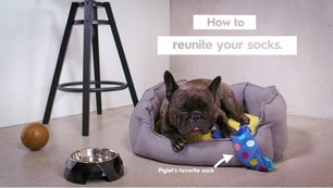 Стиральная машина Electrolux EW8F1R69SA фото 3 в Екатеринбурге