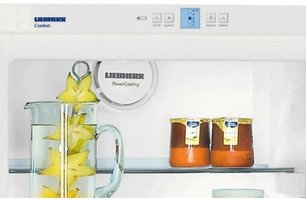 Холодильник Либхер K 3120 Comfort фото 3 в Екатеринбурге Холодильник Liebherr K 3120 Comfort фото 3 в Екатеринбурге