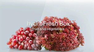 Холодильник Siemens KG 49NAI22R фото 3 в Екатеринбурге