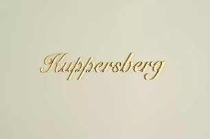 Холодильник Kuppersberg NRS 1857 C Bronze фото 4 в Екатеринбурге