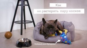 Стиральная машина Electrolux EW9F1R61B фото 4 в Екатеринбурге