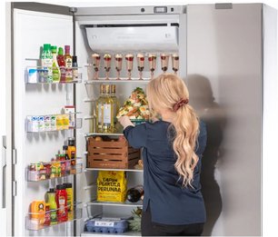 Холодильник с морозильной камерой Festivo 120 CFM 120CFM521 (белый/нержавеющая сталь) фото 3 в Екатеринбурге