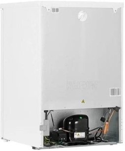 Морозильный шкаф Gorenje F39FPW4 фото 4 в Екатеринбурге