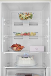 Холодильник Vestfrost VF 373 ED фото 4 в Екатеринбурге