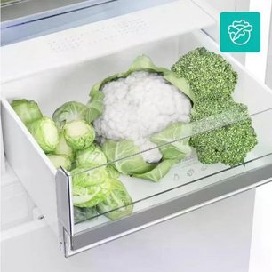 Холодильник Gorenje RK4181PS4 фото 4 в Екатеринбурге