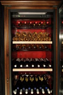 Винный шкаф IP CEX 501 NU фото 4 в Екатеринбурге