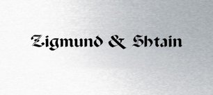 Духовой шкаф Zigmund Shtain EN 111.921 S фото 4 в Екатеринбурге