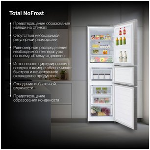 Холодильник Hyundai CM30073F нержавеющая сталь фото 4 в Екатеринбурге