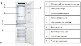 Встраиваемый холодильник Kuppersberg RBN 1960 фото 3 в Екатеринбурге