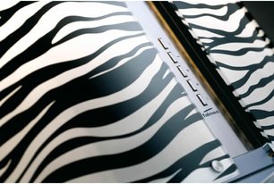 Вытяжка Фалмек Mirabilia 67 Zebra Vetro (800) ECP фото 2 в Екатеринбурге Вытяжка Falmec Mirabilia 67 Zebra Vetro (800) ECP фото 2 в Екатеринбурге