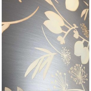 Вытяжка Falmec Mirabilia Isola 67 Moon Light Vetro (800) ECP фото 2 в Екатеринбурге