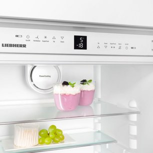 Холодильник Либхер ICN 3376 фото 4 в Екатеринбурге Холодильник Liebherr ICN 3376 фото 4 в Екатеринбурге