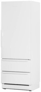 Холодильник с морозильной камерой Festivo 75 CF 75CF9411781 (белый/нержавеющая сталь) фото в Екатеринбурге