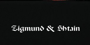 Духовой шкаф Zigmund Shtain EN 121.921 B фото 4 в Екатеринбурге