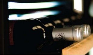 Винный шкаф IP NCK 2501 CF фото 2 в Екатеринбурге