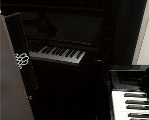 Монотемпературный винный шкаф EuroCave V-REVEL-S R-400016-S2W фото 3 в Екатеринбурге