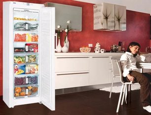 Морозильник Либхер GN 3056 Premium NoFrost фото 3 в Екатеринбурге Морозильник Liebherr GN 3056 Premium NoFrost фото 3 в Екатеринбурге