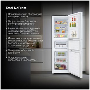 Холодильник Hyundai CM30073F белый фото 4 в Екатеринбурге