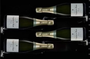 Винный шкаф Dunavox DX-58.258DSS фото 3 в Екатеринбурге