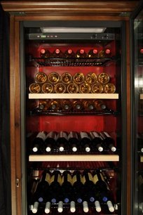 Винный шкаф IP CEX 501 VU фото 4 в Екатеринбурге