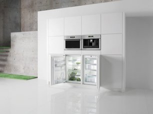 Однокамерный холодильник Gorenje Plus GDR 67088 B фото 2 в Екатеринбурге