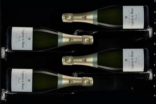 Винный шкаф Dunavox DX-58.258DB фото 3 в Екатеринбурге