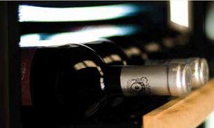 Винный шкаф IP C 601 CF фото 3 в Екатеринбурге