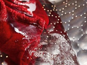 Стиральная машина Miele WDD030 фото 4 в Екатеринбурге