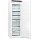 Встраиваемый морозильный шкаф Gorenje GDFN5182A1