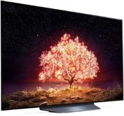 Телевизор LG OLED55B1RLA фото 4 в Екатеринбурге