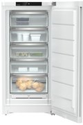 Морозильник Liebherr FNd 6625 фото 4 в Екатеринбурге