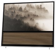 Телевизор Bang & Olufsen BeoVision 14-55 фото 2 в Екатеринбурге